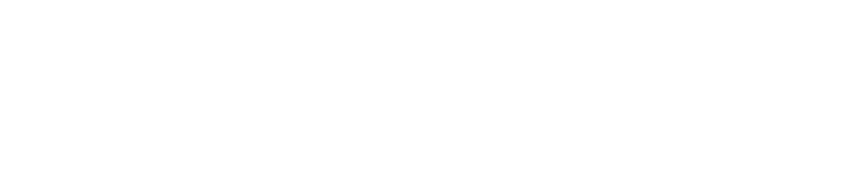 HEAVYWEIGHT